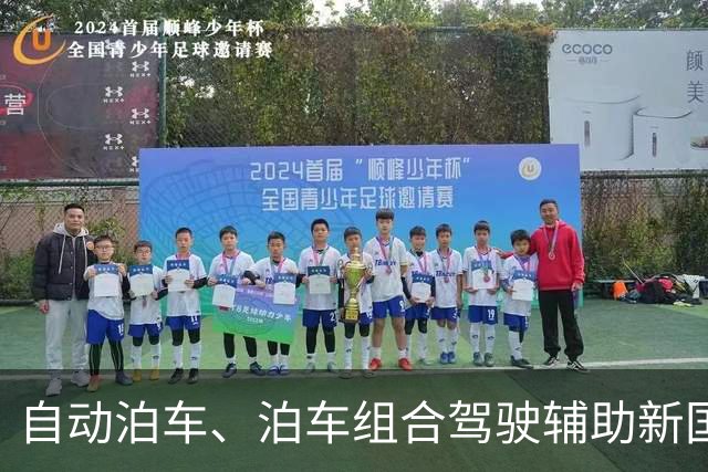 自动泊车、泊车组合驾驶辅助新国标将至，工信部征求意见稿明确各分级能力上限